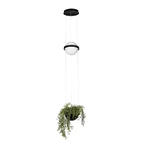 Светильник подвесной LED Jardin 10121/B LOFT IT белый 1 лампа, основание чёрное в стиле современный флористика