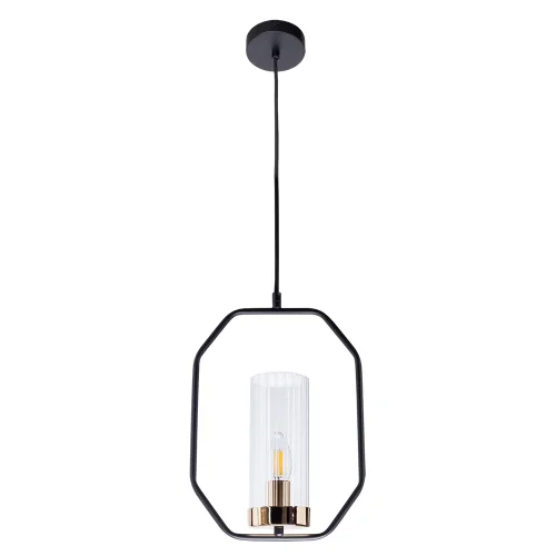 Светильник подвесной Celaeno A7004SP-1BK Arte Lamp прозрачный 1 лампа, основание чёрное в стиле классический 