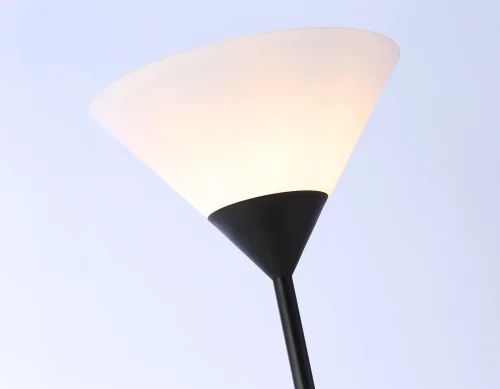 Торшер TR97618 Ambrella light  белый 1 лампа, основание чёрное в стиле современный
 фото 6