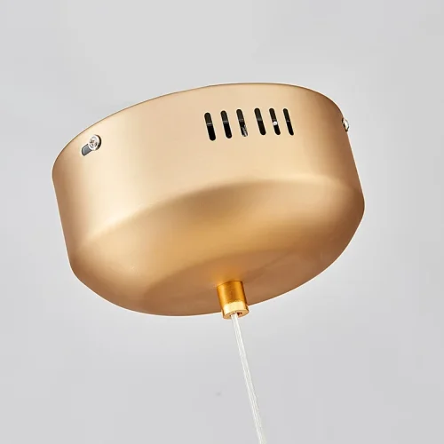Люстра подвесная BUSK 101395-26 ImperiumLoft золотая на 50 ламп, основание золотое в стиле современный  фото 13