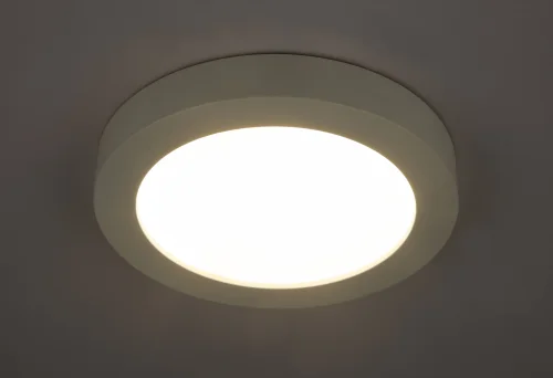 Светильник накладной LED Paula 41605-24D Globo белый 1 лампа, основание белое в стиле современный круглый фото 2