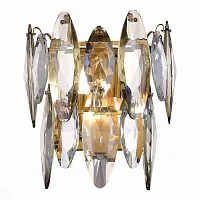 Бра Ancona SL1227.301.02 ST-Luce прозрачный 2 лампы, основание латунь в стиле современный 