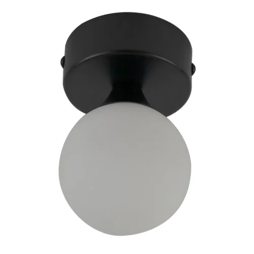 Светильник потолочный Vivari LH012105 LightHall белый на 1 лампу, основание чёрное в стиле современный шар Светильник потолочный Vivari LH012105 LightHall белый на 1 лампу, основание чёрное в стиле современный шар