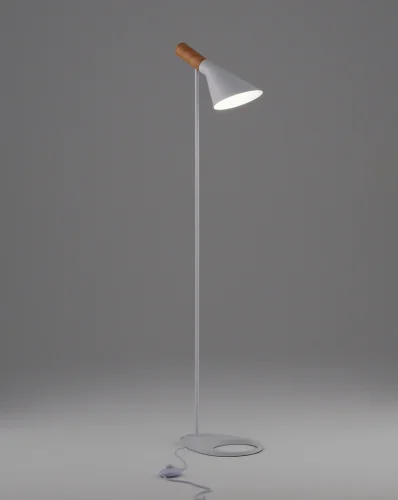 Торшер Turin V11336-1F Moderli белый на 1 лампу, основание белое в стиле современный скандинавский хай-тек 