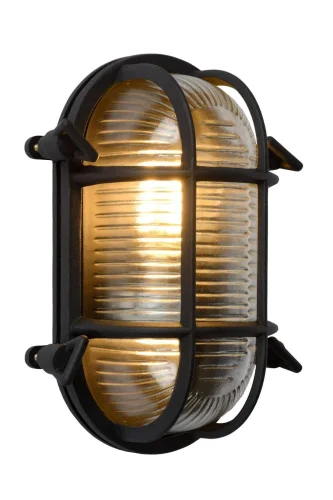 Настенный светильник Dudley 11891/20/30 Lucide уличный IP65 чёрный 1 лампа, плафон белый в стиле винтаж современный E27