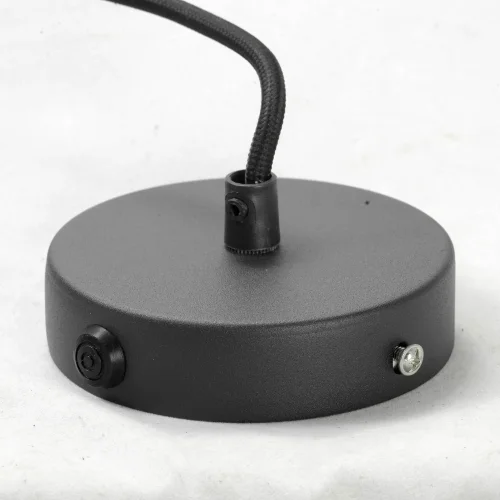 Светильник подвесной лофт Freeport GRLSP-9672 Lussole чёрный 1 лампа, основание чёрное в стиле лофт  фото 5