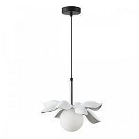 Светильник подвесной Tanzania 5616/1 Lumion белый 1 лампа, основание чёрное в стиле флористика современный шар