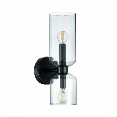 Бра Treviso SL1180.401.02 ST-Luce прозрачный серый на 2 лампы, основание чёрное в стиле современный  фото 2