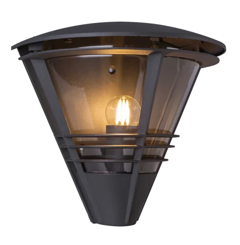 Настенный светильник Salla 32093A Globo уличный IP44 чёрный серый 1 лампа, плафон прозрачный в стиле современный E27