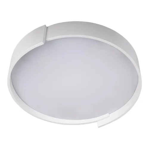 Светильник потолочный LED Coin 10200 White LOFT IT белый 1 лампа, основание белое в стиле современный  фото 3