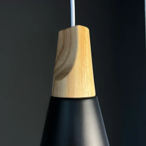 Светильник подвесной XD-A Black 141165-26 ImperiumLoft чёрный 1 лампа, основание чёрное в стиле скандинавский  фото 3
