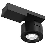 Светильник накладной Treo C062CL-L12B4K Maytoni чёрный 1 лампа, основание чёрное в стиле современный круглый