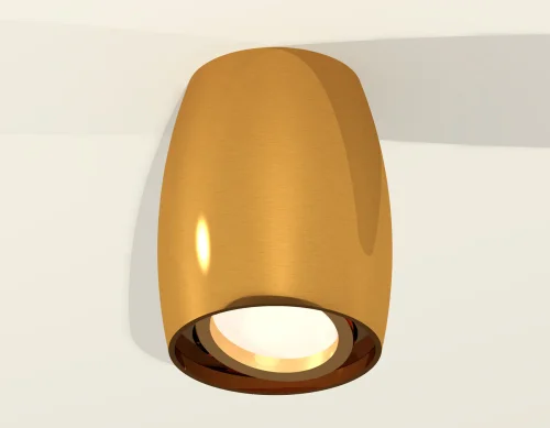 Светильник накладной Techno spot XS1125001 Ambrella light золотой жёлтый 1 лампа, основание золотое жёлтое в стиле современный круглый фото 2