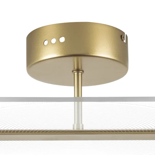 Светильник потолочный LED Acrile 738043 Lightstar прозрачный 1 лампа, основание золотое в стиле минимализм хай-тек современный  фото 4