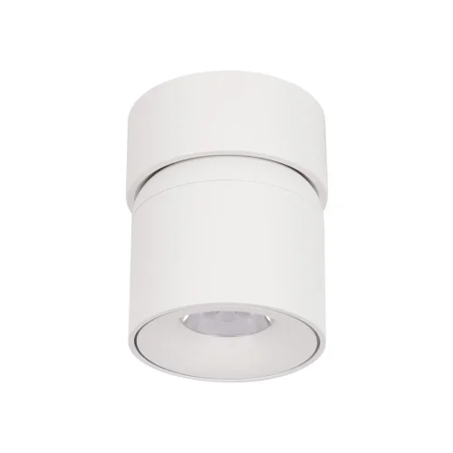 Светильник накладной LED Tictac 10180 White LOFT IT белый 1 лампа, основание белое в стиле современный круглый фото 4