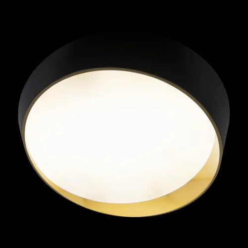 Светильник потолочный LED Coin 10199 Black LOFT IT чёрный белый золотой 1 лампа, основание чёрное в стиле современный  фото 4