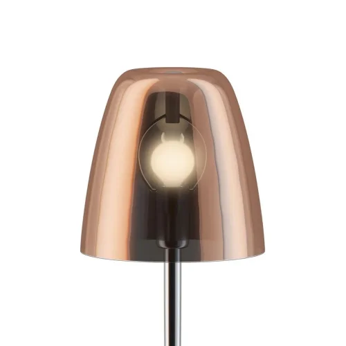 Настольная лампа Seta 2960-1T Favourite медь 1 лампа, основание хром металл в стиле современный  фото 3