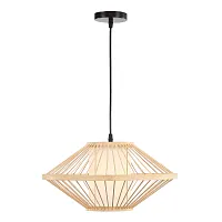 Светильник подвесной Alma SL6241.533.01 ST-Luce бежевый коричневый на 1 лампу, основание чёрное в стиле современный 