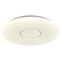 Светильник потолочный LED с пультом Moonlight LSP-8311 Lussole белый 1 лампа, основание белое в стиле хай-тек с пультом