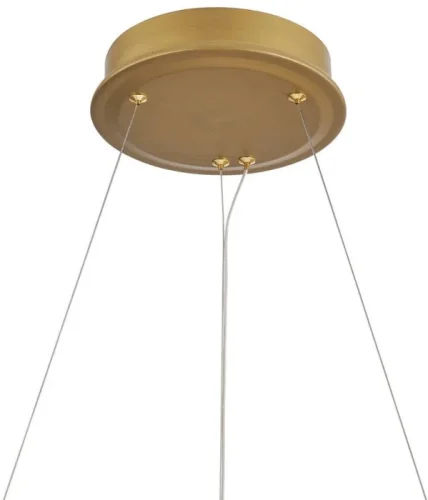 Светильник подвесной LED Mirabella 4754-7P Favourite прозрачный на 1 лампу, основание латунь в стиле современный кольца фото 2