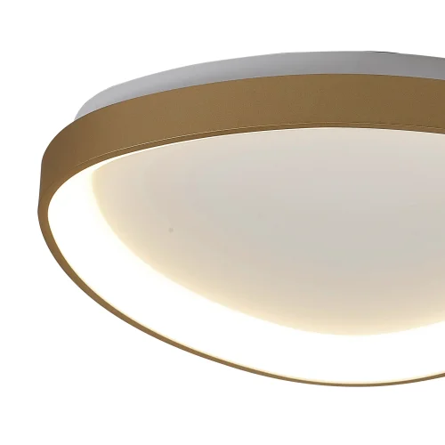 Светильник потолочный LED Niseko 8054 Mantra белый 1 лампа, основание золотое в стиле современный  фото 2