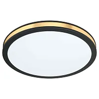 Светильник потолочный LED Pescaito 99406 Eglo белый на 1 лампу, основание золотое чёрное в стиле современный 