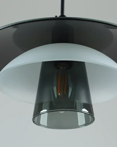 Светильник подвесной Sydney V11027-1P Moderli серый прозрачный на 1 лампу, основание чёрное в стиле современный скандинавский фото 3 Светильник подвесной Sydney V11027-1P Moderli серый прозрачный на 1 лампу, основание чёрное в стиле современный скандинавский фото 3