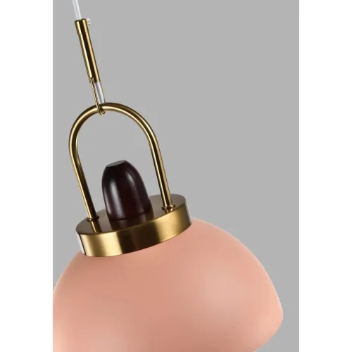 Светильник подвесной Ravenna V10449-1P Moderli розовый 1 лампа, основание розовое в стиле лофт  фото 2