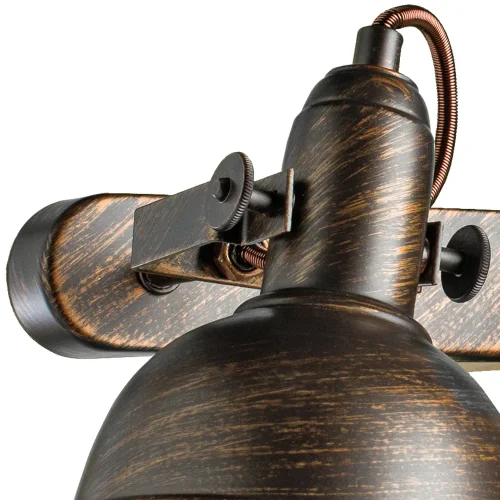 Бра лофт Martin A5213AP-2BR Arte Lamp коричневый на 2 лампы, основание коричневое в стиле лофт  фото 3