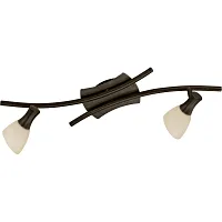 Спот C 2 лампами ONA 87368 Eglo бежевый G9 в стиле современный Спот C 2 лампами ONA 87368 Eglo бежевый G9 в стиле современный