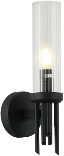 Бра Graff 2170/02/01W Stilfort прозрачный на 1 лампа, основание чёрное в стиле современный 