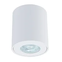 Светильник накладной Tino A1469PL-1WH Arte Lamp белый 1 лампа, основание белое в стиле современный круглый