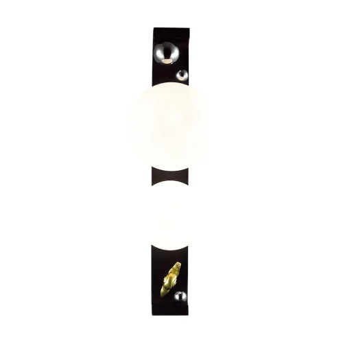 Настенный светильник уличный Luma 5434/2W Odeon Light уличный IP54 чёрный на 2 лампы, плафон белый в стиле флористика скандинавский современный G9 фото 6