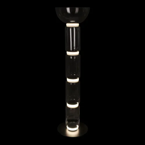 Торшер LED Noctambule 10192F/L LOFT IT  прозрачный 1 лампа, основание чёрное в стиле современный
 фото 4