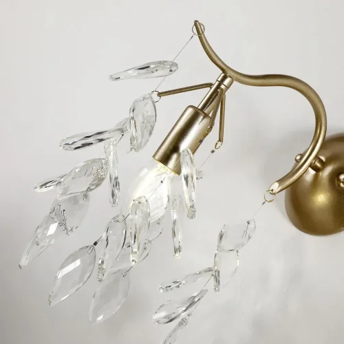 Бра Brillo 3003-1W Favourite прозрачный на 1 лампа, основание золотое в стиле флористика ветви фото 4