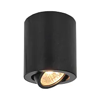 Светильник накладной Дюрен CL538113 Citilux чёрный 1 лампа, основание чёрное в стиле современный круглый