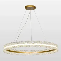 Светильник подвесной LED Bibb LSP-8655 Lussole прозрачный 1 лампа, основание матовое золото в стиле современный кольца