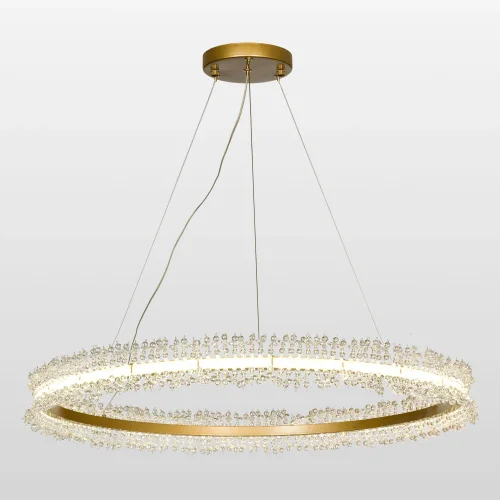 Светильник подвесной LED Bibb LSP-8655 Lussole прозрачный 1 лампа, основание матовое золото в стиле современный кольца