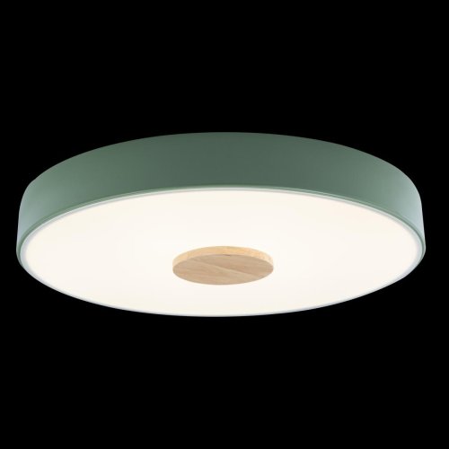 Светильник потолочный LED Axel 10003/24 Green LOFT IT белый 1 лампа, основание зелёное в стиле модерн  фото 5