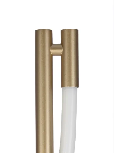 Торшер LED Eva CL210912 Citilux  белый 1 лампа, основание матовое золото в стиле современный
 фото 5