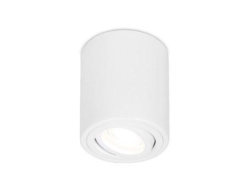 Светильник накладной TN225 Ambrella light белый 1 лампа, основание белое в стиле современный круглый