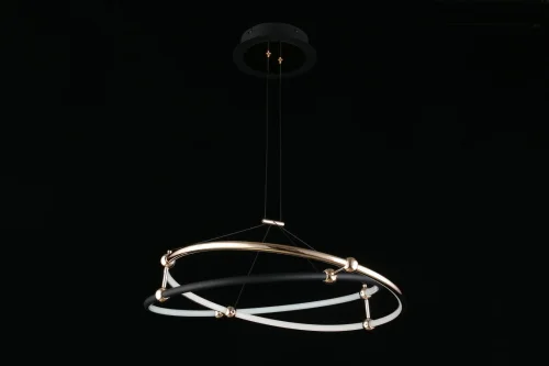 Люстра подвесная LED Diana APL.034.03.40 Aployt чёрная золотая на 1 лампа, основание чёрное золотое в стиле современный кольца фото 5