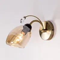 Бра Комета CL108315 Citilux прозрачный янтарный 1 лампа, основание бронзовое в стиле модерн 