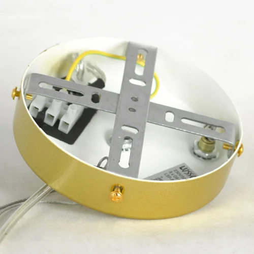 Люстра подвесная LSP-8749 Lussole белая на 6 ламп, основание матовое золото в стиле современный флористика  фото 8