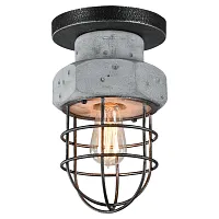 Светильник потолочный лофт LSP-9701 Lussole серый чёрный 1 лампа, основание чёрное в стиле лофт 