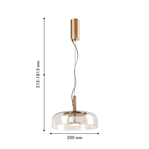 Светильник подвесной LED Brandy 4258-1P Favourite прозрачный на 1 лампу, основание латунь в стиле современный фото 2