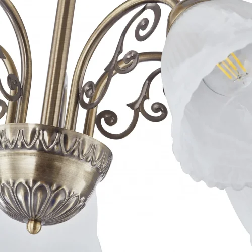 Люстра подвесная Amalfi-8544 338544/5 AB Arte Milano белая на 5 ламп, основание бронзовое в стиле современный фото 6