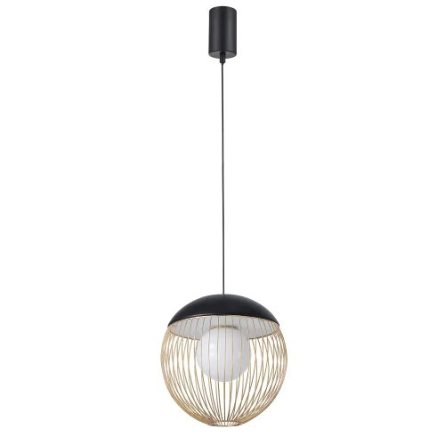 Светильник подвесной LED Core 4240-1P Favourite матовый золото на 1 лампу, основание чёрное в стиле современный фото 2