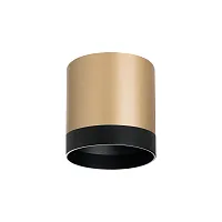 Светильник накладной Rullo GX53 R34903487 Lightstar золотой чёрный 1 лампа, основание золотое в стиле хай-тек современный круглый