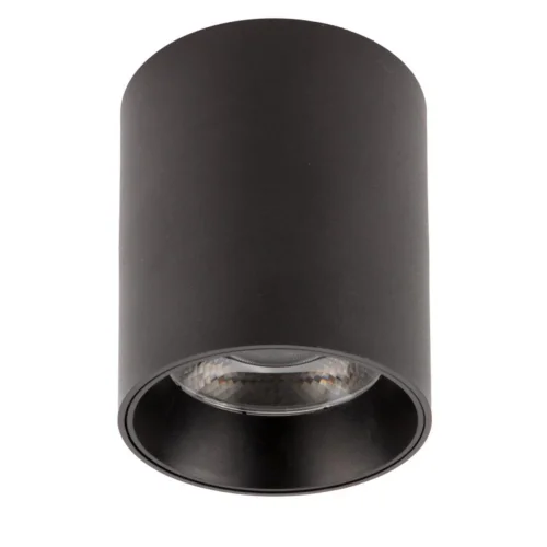 Светильник накладной LED Arton 59979 1 Ritter чёрный 1 лампа, основание чёрное в стиле современный круглый